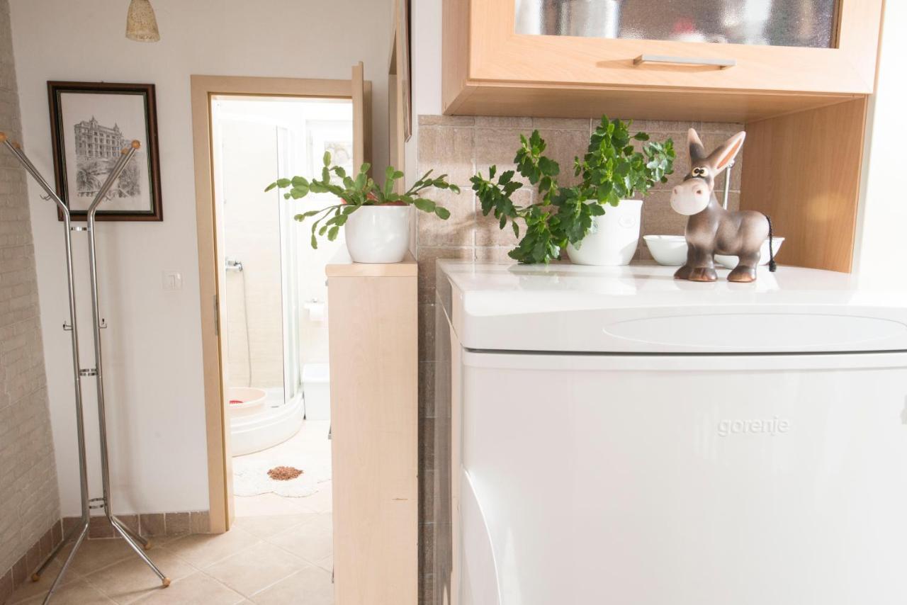 Apartment Alba メドヴェヤ エクステリア 写真